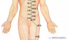 拍打膀胱经视频,轻松缓解腰背酸痛，养生保健新选择